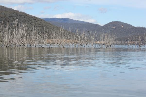 Fishing destination: Lake Eildon, VIC